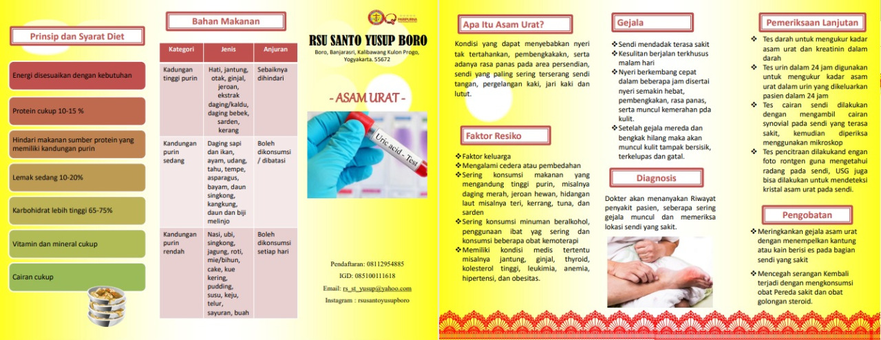 Leaflet Asam Urat
